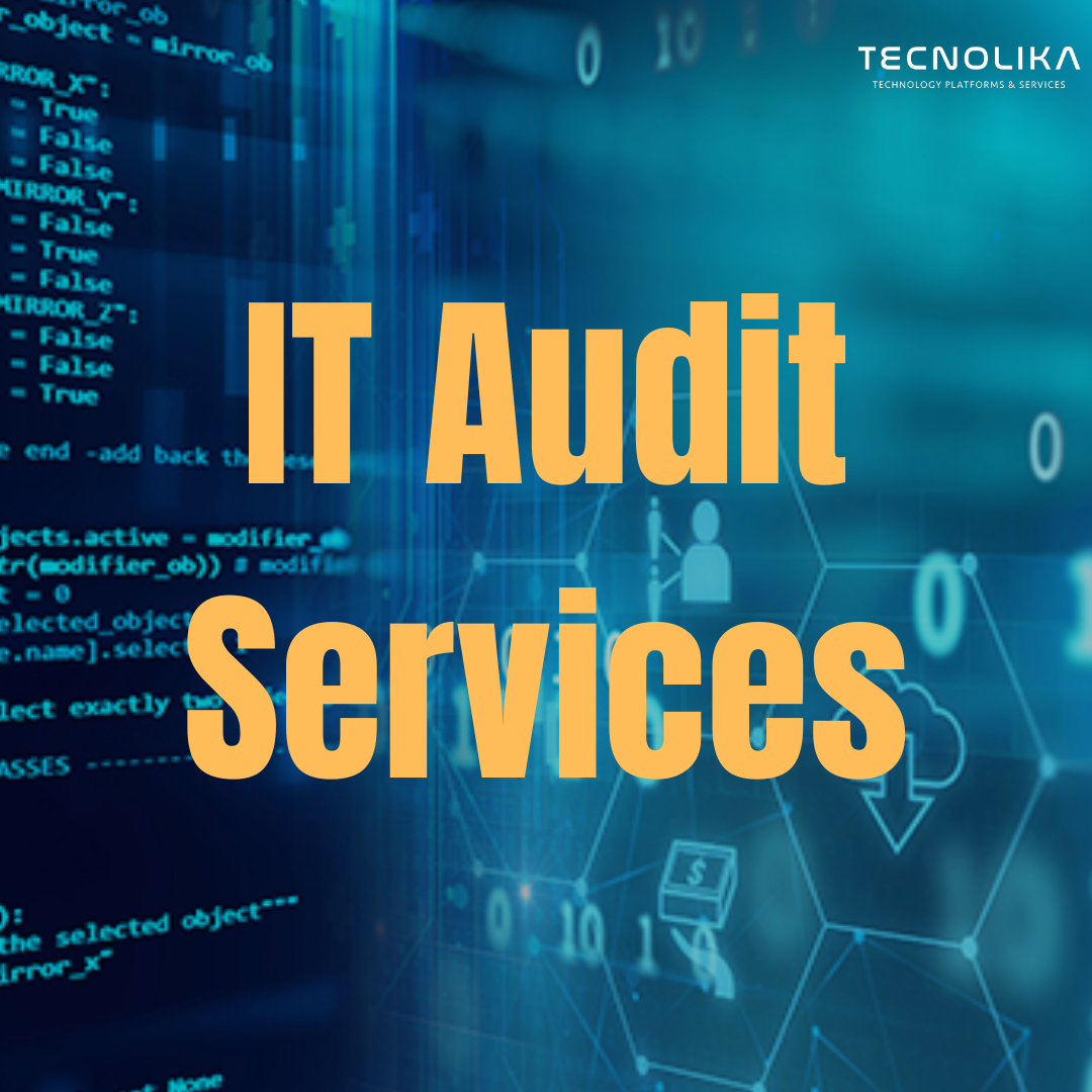 IT Audit Services